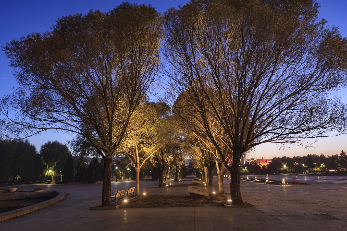 Pinglu project completed: park trees uplit from in-ground fixtures, low light beside the benches, guiding points of light in the distance